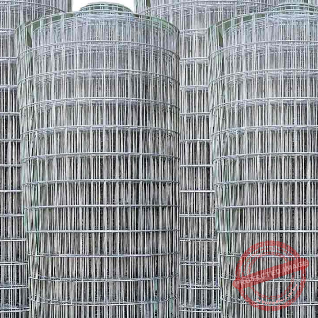 Lưới thép làm chuồng nuôi dúi hiệu quả